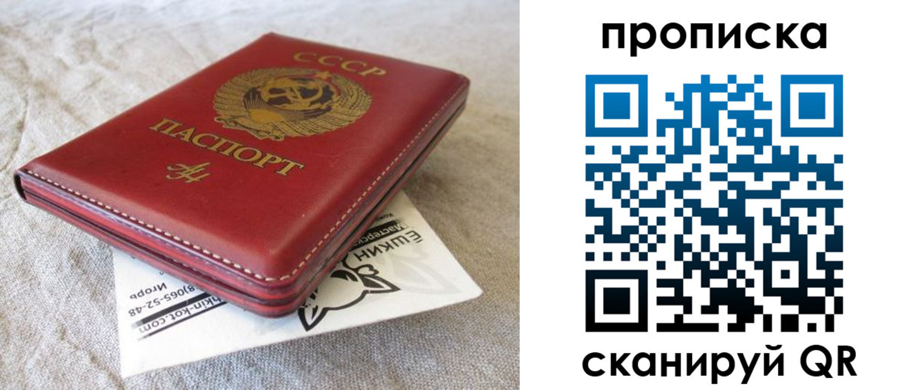 прописка для школы в Касли